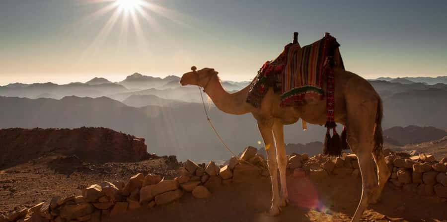 Hurghada: Sea & Desert Camel Ride w/Dinner, Show, Stargazing - What I would pack for this Hurghada excursion