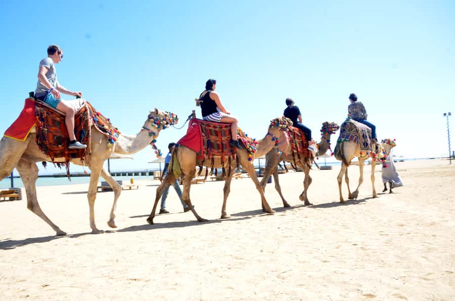 Hurghada: Sea & Desert Camel Ride w/Dinner, Show, Stargazing - Should you book the camel ride?