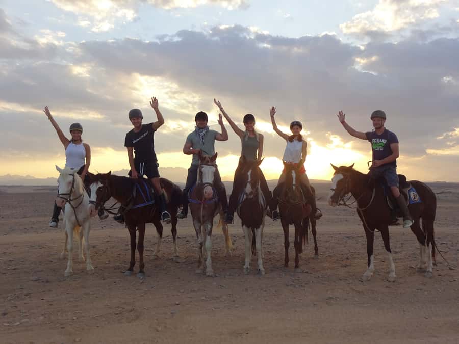 Hurghada: Sea & Desert Horse Tour, Stargazing, Dinner & Show - Key points before you book