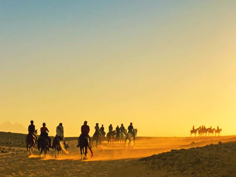 Hurghada: Sea & Desert Horse Tour, Stargazing, Dinner & Show - From Hurghada hotels to the horse yard