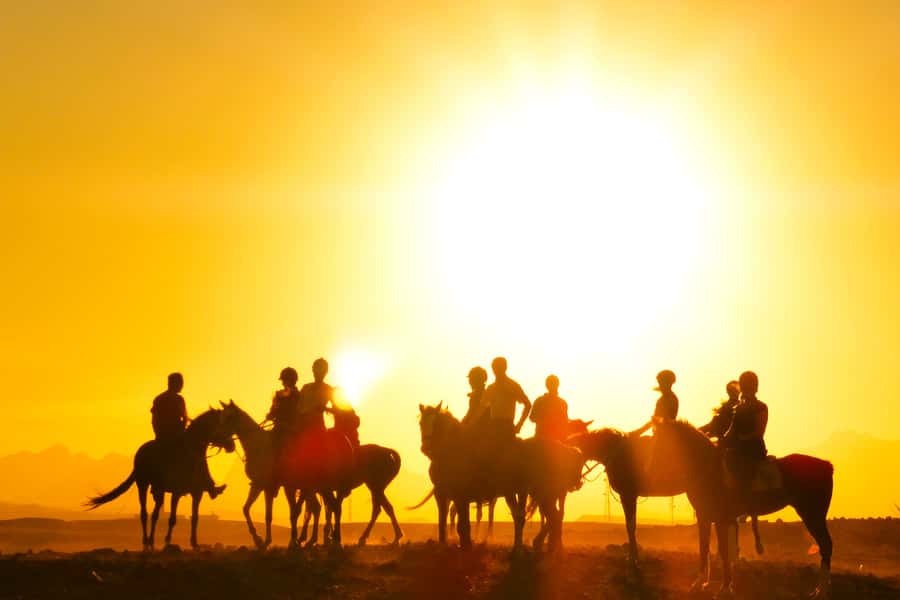 Hurghada: Sea & Desert Horse Tour, Stargazing, Dinner & Show - Sunrise at 5:00 AM with Oriental breakfast