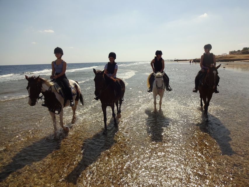 Hurghada: Sea & Desert Horse Tour, Stargazing, Dinner & Show - The quad bike and horse combination