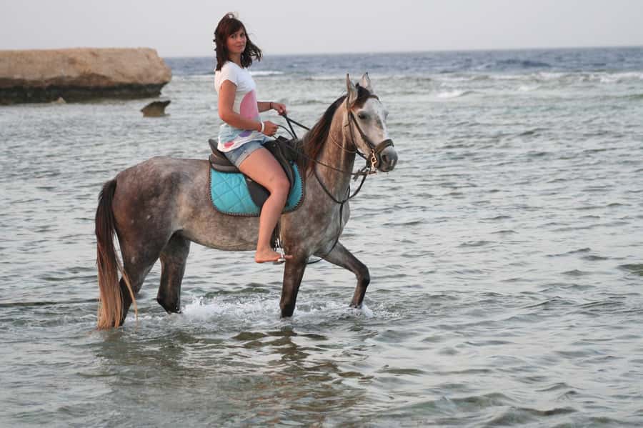 Hurghada: Sea & Desert Horse Tour, Stargazing, Dinner & Show - Two hours between desert and Red Sea