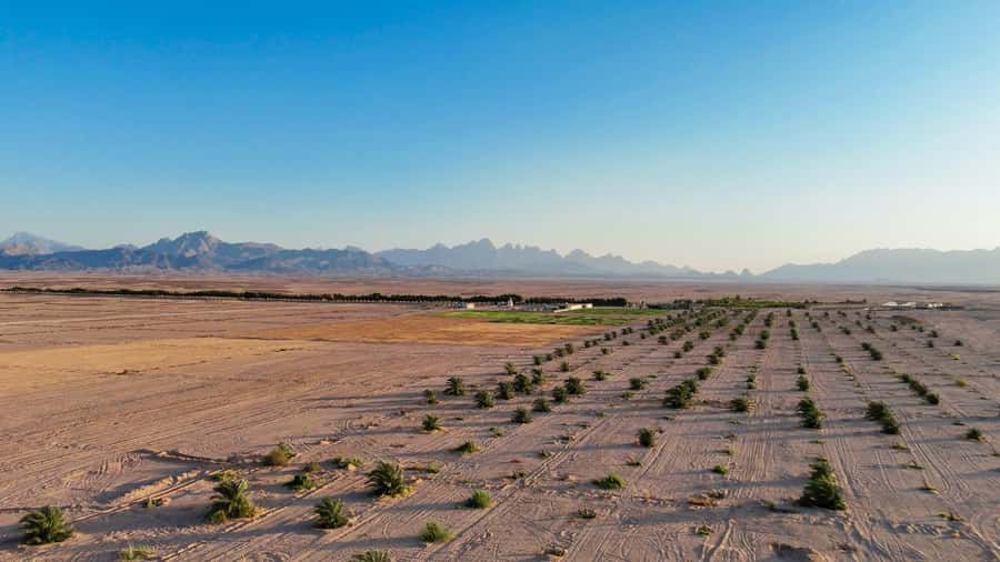Hurghada: Star Stargazing Desert Adventure by Jeep & Dinner - Who should book this desert adventure?