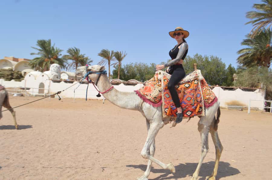 Hurghada: Sunset Quad Bike, Camel w/ Opt Stargazing and BBQ - Sunrise, horse riding, and other versions
