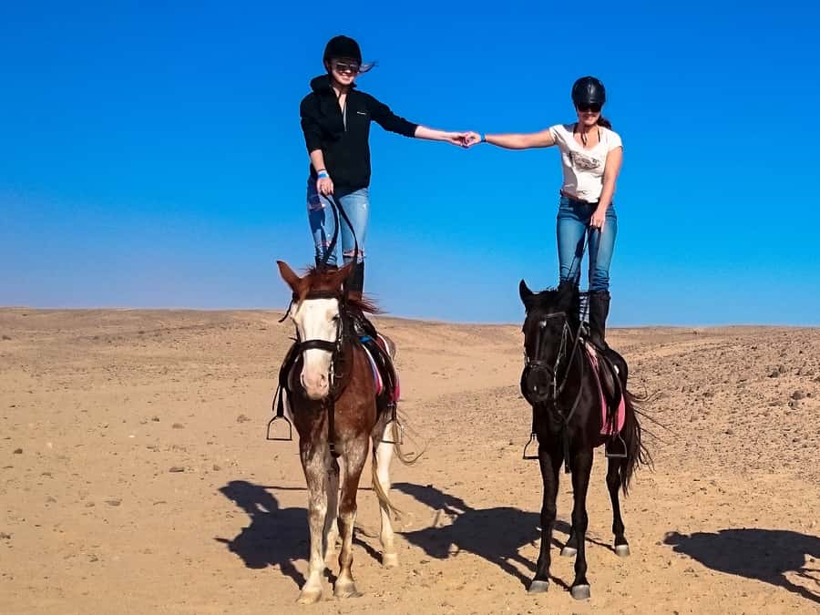 Hurghada: Sunset Sea, Desert Horse W Opt, Dinner, Stargazing - Who should book this experience