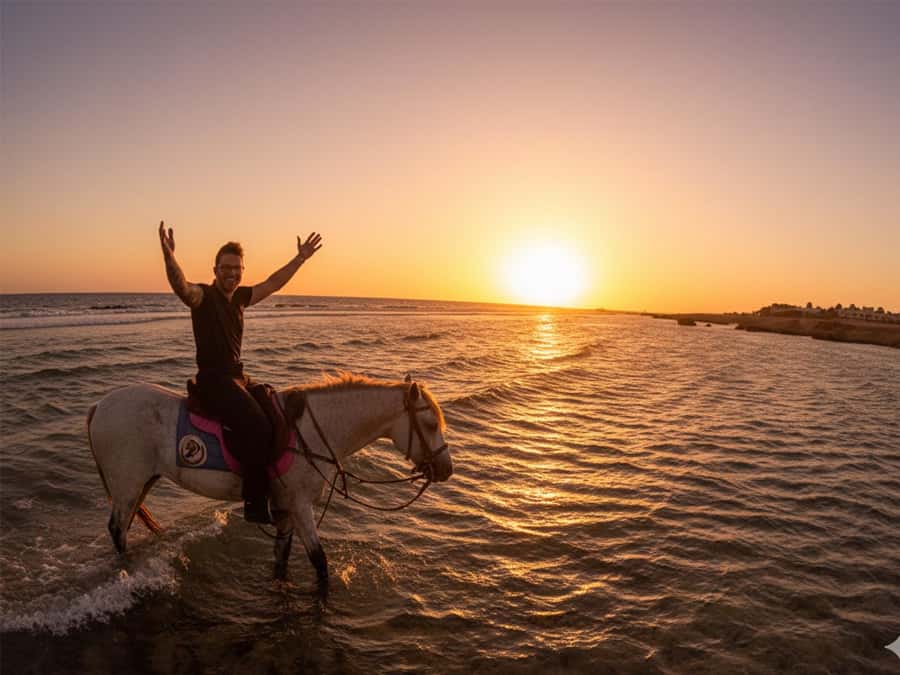 Hurghada: Sunset Sea, Desert Horse W Opt, Dinner, Stargazing - Two hours across desert and seaside trails