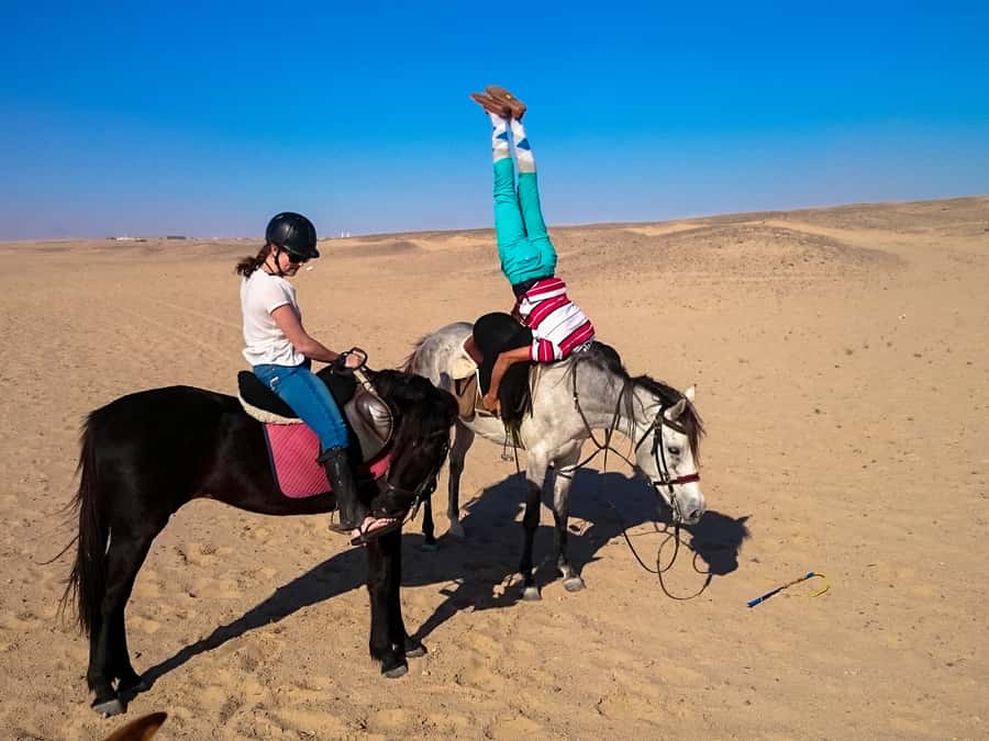 Hurghada: Sunset Sea, Desert Horse W Opt, Dinner, Stargazing - Sunset along the Red Sea