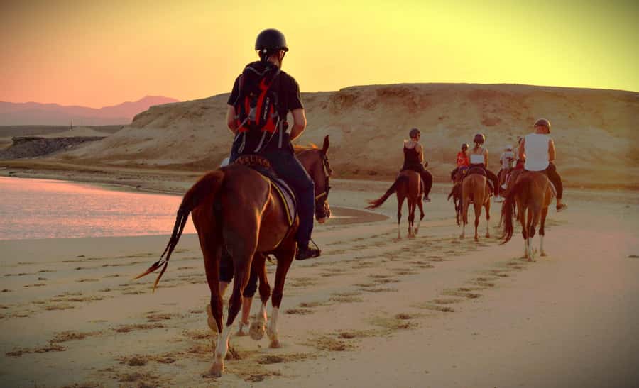 Hurghada: Sunset Sea, Desert Horse W Opt, Dinner, Stargazing - Dinner, dancing, and the evening finish