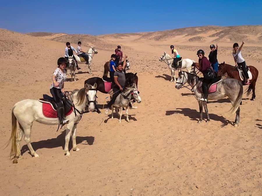 Hurghada: Sunset Sea, Desert Horse W Opt, Dinner, Stargazing - What the $29 price really buys