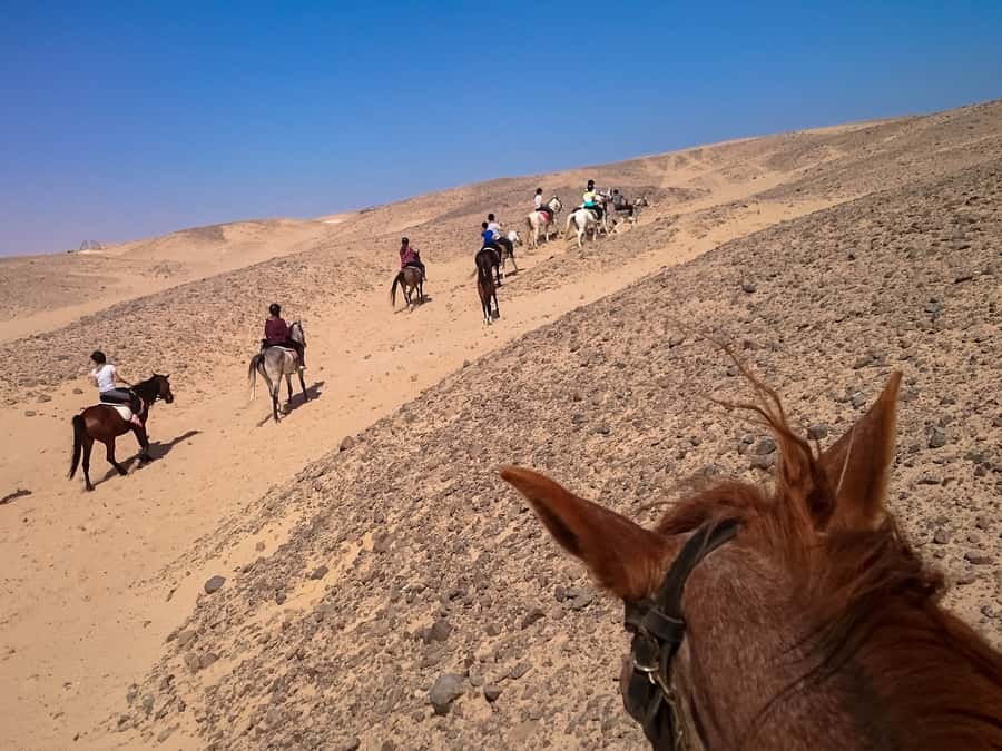 Hurghada: Sunset Sea, Desert Horse W Opt, Dinner, Stargazing - Practical comfort and safety advice