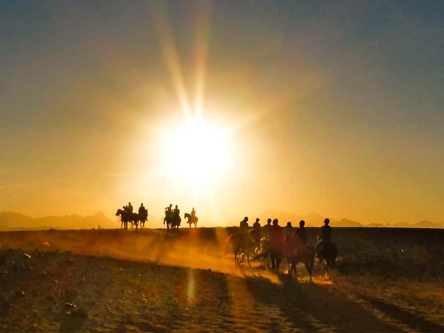 Hurghada: Sunset Sea, Desert Horse W Opt, Dinner, Stargazing - Getting started at the stable