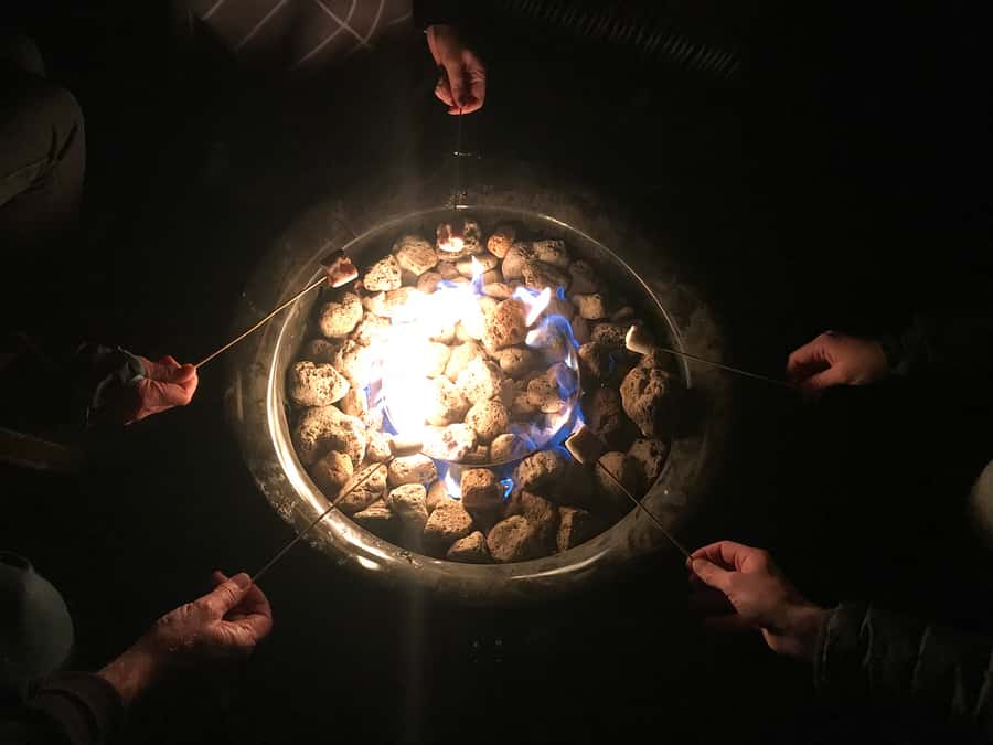 Lake Tekapo: Stargazing Experience - Marshmallows by the fire bowl