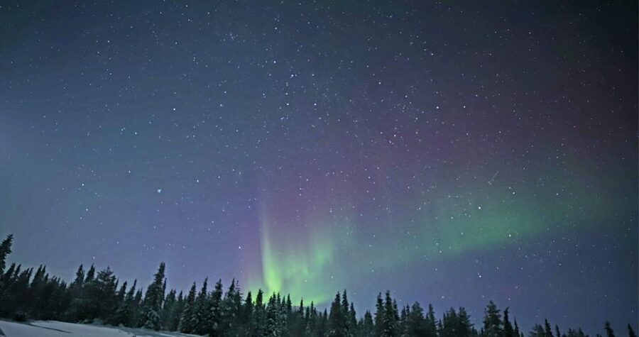 Levi: Twilight Snowmobile Safari & Stargazing Experience - Is $135 a fair price?