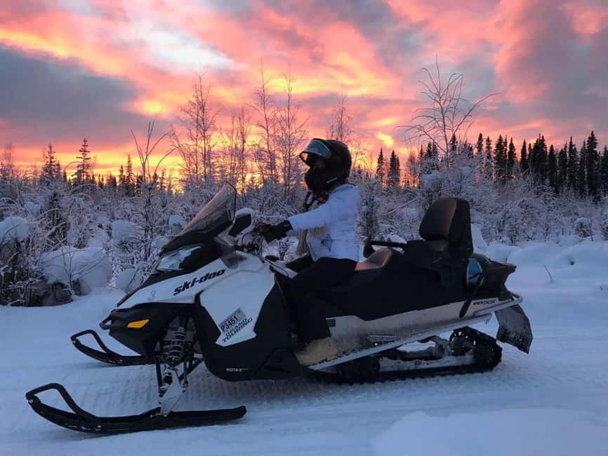 Levi: Twilight Snowmobile Safari & Stargazing Experience - Who will enjoy this evening most?