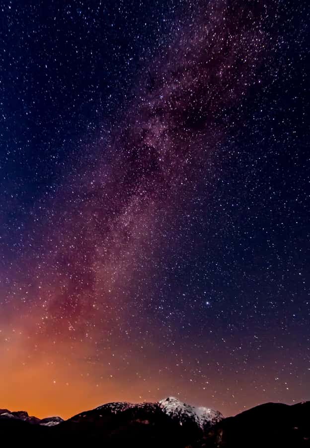 Makadi Bay: 2H Quad Bike, Camel, Stargazing, Dinner & Show - Dinner, music, and stargazing after sunset