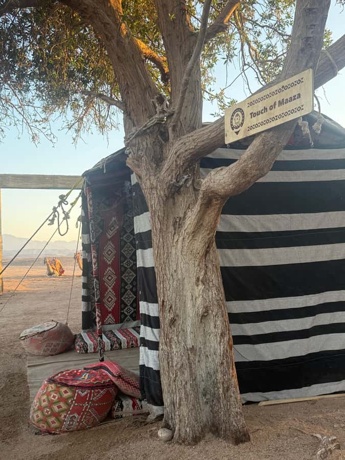 Makadi Bay: BADU Luxury Bedouin Dinner Experience & Stargaze - Tea, coffee, and a warm welcome