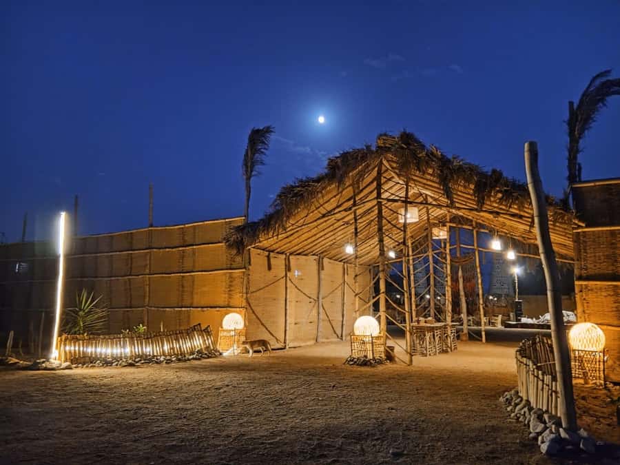 Makadi Bay: BADU Luxury Bedouin Dinner Experience & Stargaze - Why the stargazing is more than a photo stop