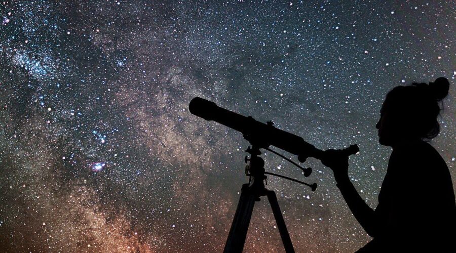 Marsa Alam Bedouin Nights: Jeep Safari, Dinner & Stargazing - A short camel ride and the Bedouin pharmacy