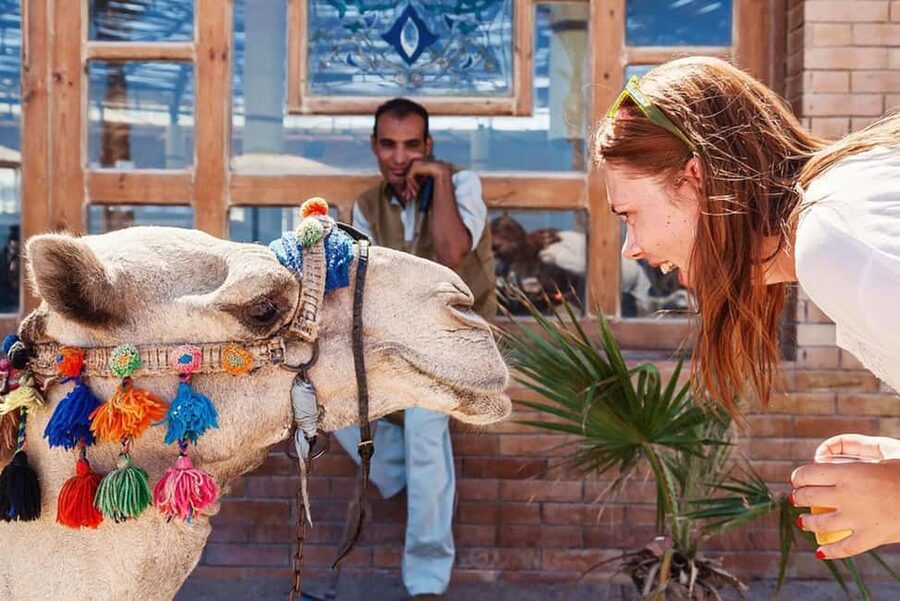 Marsa Alam Bedouin Nights: Jeep Safari, Dinner & Stargazing - Tea, bread, and a Bedouin camp at sunset