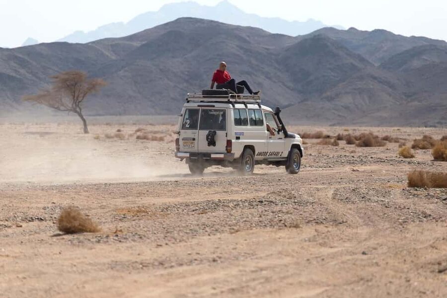Marsa Alam Bedouin Nights: Jeep Safari, Dinner & Stargazing - Dinner with homemade bread and local flavors