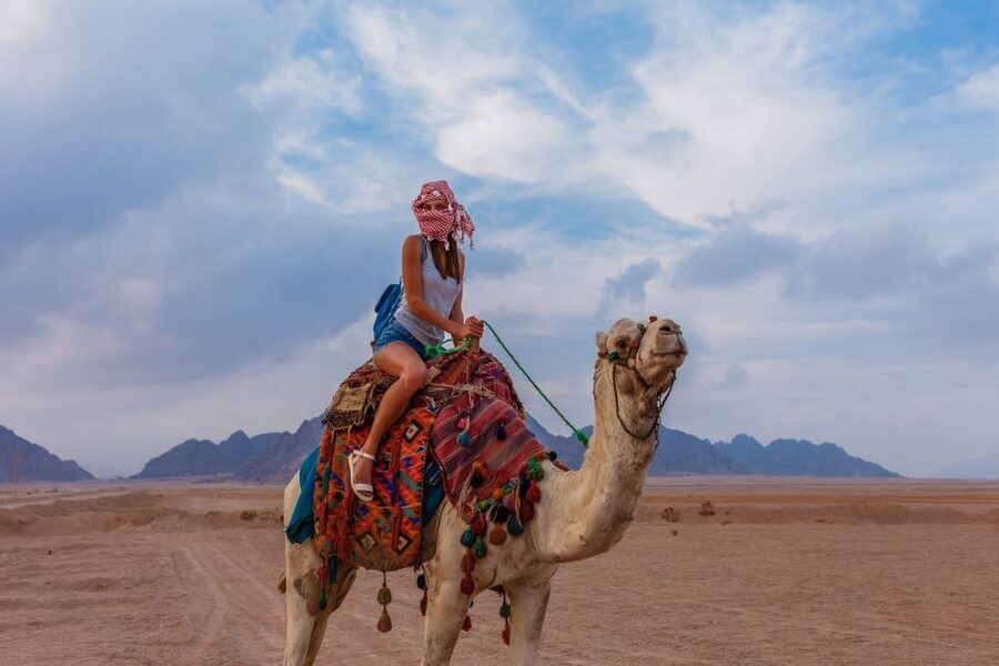 Marsa Alam Bedouin Nights: Jeep Safari, Dinner & Stargazing - Campfire stories and guides who stay involved