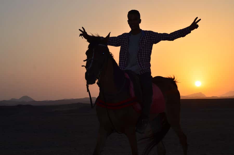 Marsa Alam: Sunset Horseback with Dinner, Show & Stargazing - Transfers from Coraya Bay, Port Ghalib, and Marsa Alam