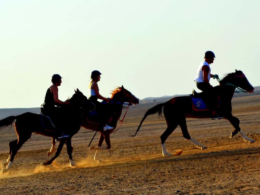 Marsa Alam: Sunset Horseback with Dinner, Show & Stargazing - What the $29 price really covers