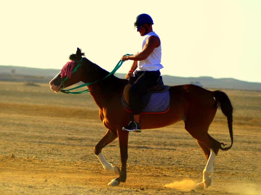 Marsa Alam: Sunset Horseback with Dinner, Show & Stargazing - Why sunset is the right time to ride