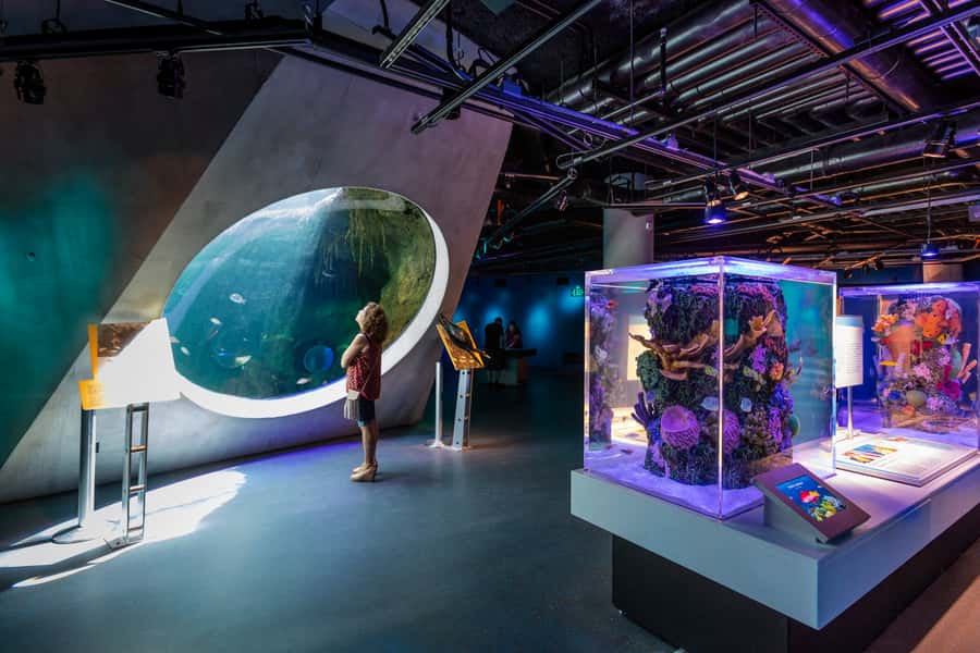 Miami: Frost Museum of Science and Planetarium Entry Ticket - Pick One Planetarium Show Carefully