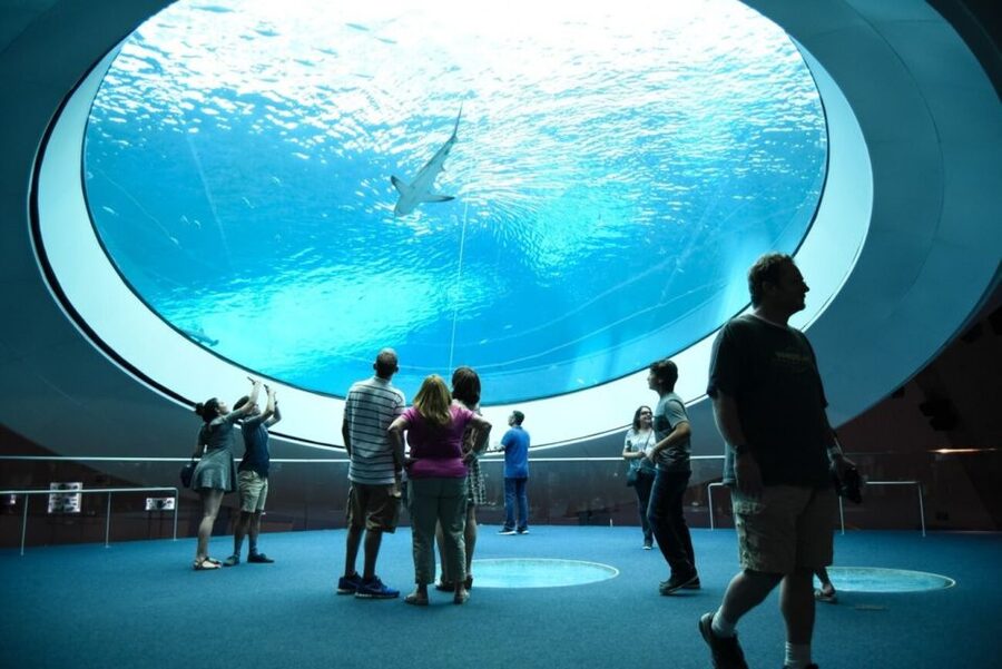 Miami: Frost Museum of Science and Planetarium Entry Ticket - How Long Should You Spend Inside?