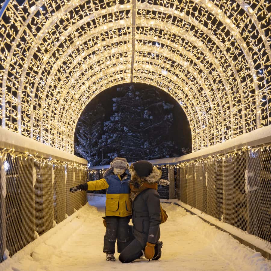 Mont-Tremblant: Treetop Observatory and Self-Guided Walk - A forest walk with a different point of view