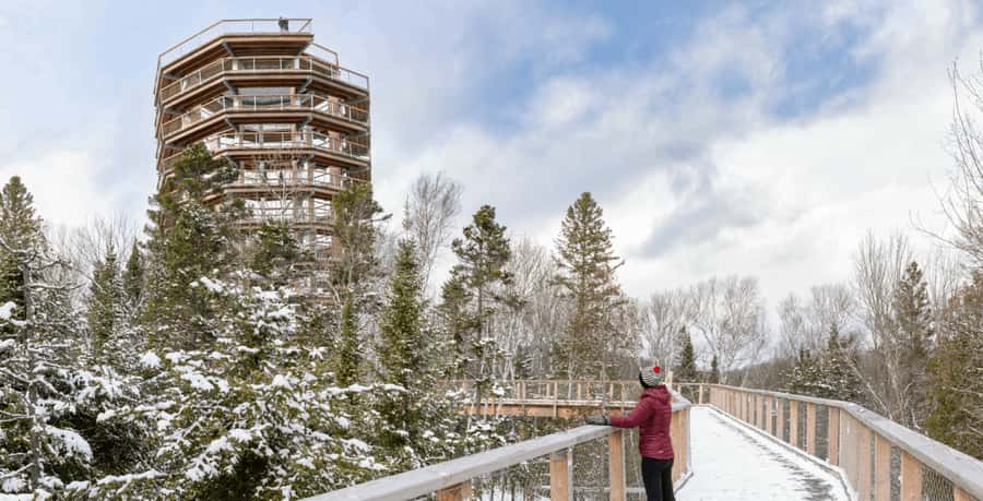 Mont-Tremblant: Treetop Observatory and Self-Guided Walk - Reaching the 40-meter observatory