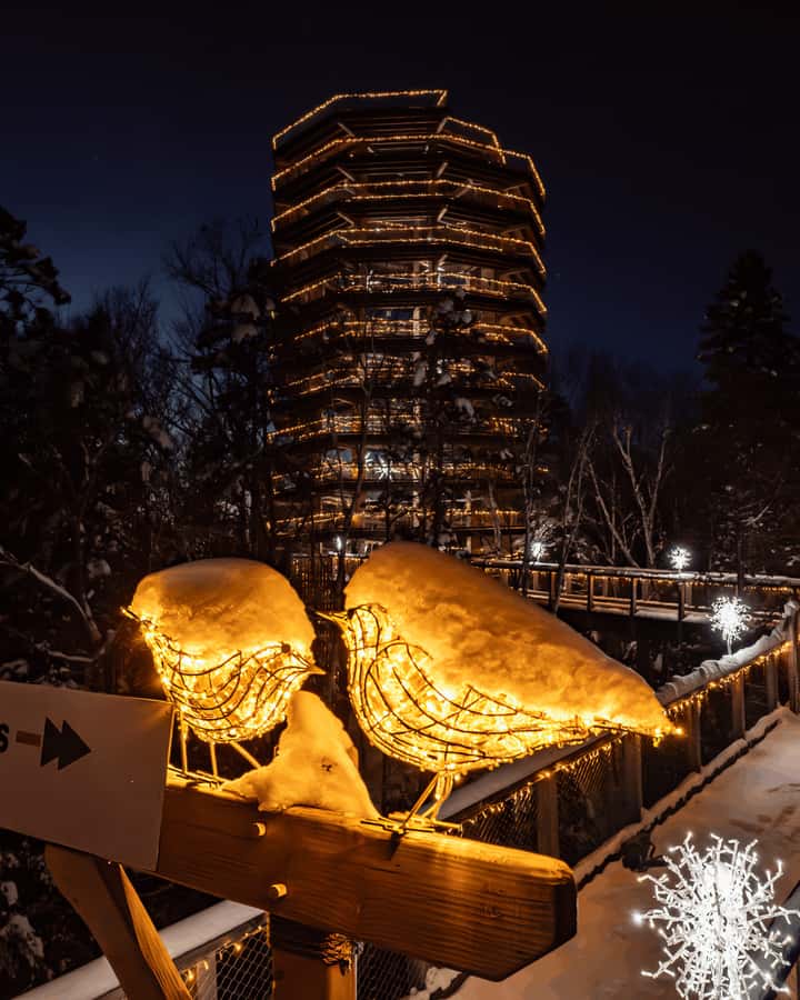 Mont-Tremblant: Treetop Observatory and Self-Guided Walk - Who will enjoy this most?