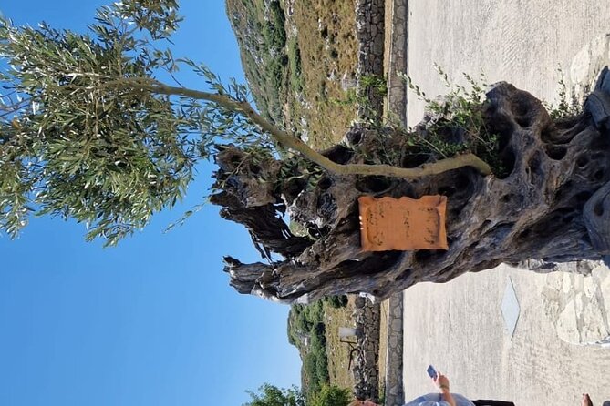 Mount Juktas, the observatory of CRETE ZEUS face mountain - A proper Cretan lunch with wine and raki