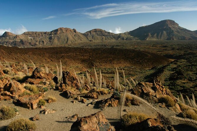 Mount Teide Night Tour: Stargazing, Dinner and Hotel Pick up - What this Teide night tour really offers