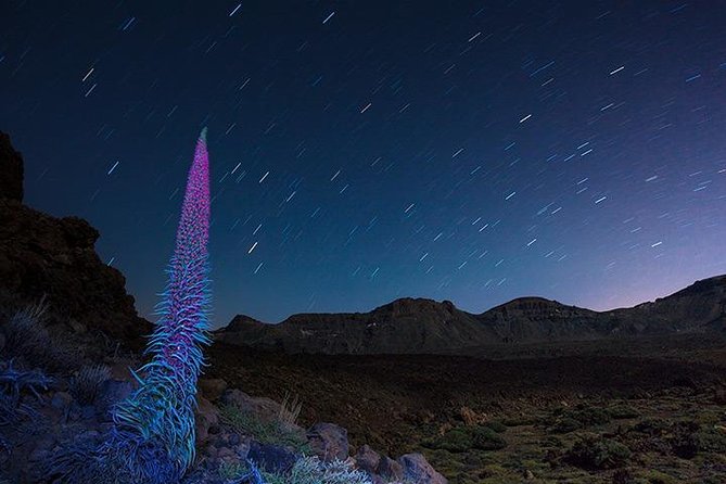 Mount Teide Night Tour: Stargazing, Dinner and Hotel Pick up - Is the $93.93 price good value?