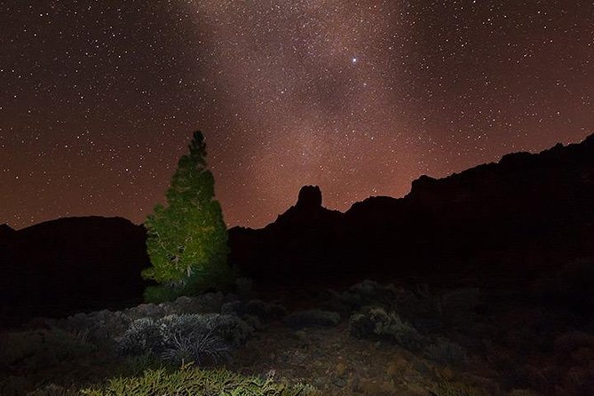 Mount Teide Night Tour: Stargazing, Dinner and Hotel Pick up - Who will enjoy this evening most?