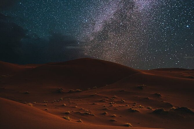Night Desert Safari, Stargazing, Dune Driving & Inland Sea Visit - Reaching the Inland Sea near Saudi Arabia