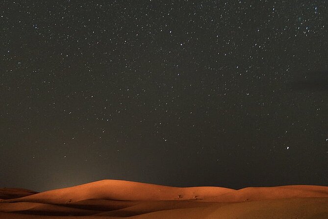 Night Desert Safari, Stargazing, Dune Driving & Inland Sea Visit - Camels, falcons, and the human side of the desert