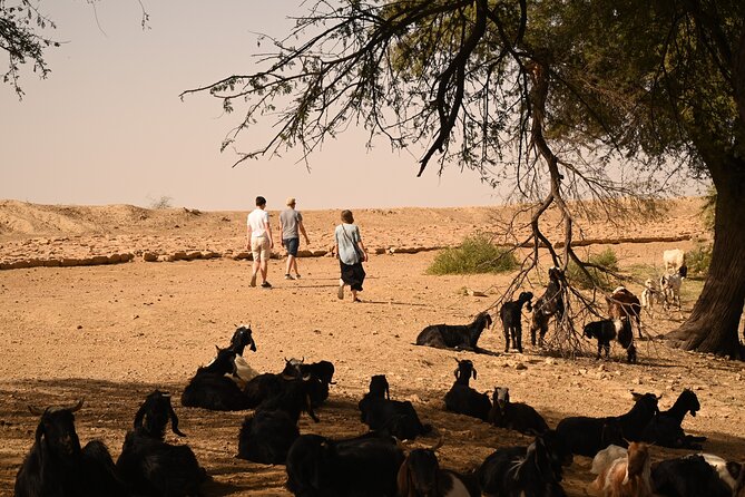 Non-Touristic Overnight Camel Safari with Stargazing Hidden Tour In Desert - Riding one camel toward Khuri