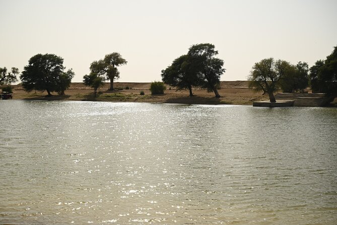 Non-Touristic Overnight Camel Safari with Stargazing Hidden Tour In Desert - Stargazing without a polished camp