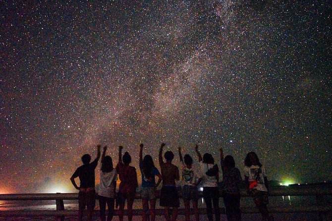 Okinawa Miyako Star Gazing & Subtropical Jungle Night Tour - Miyakojima After Dark: Jungle Life Comes Out