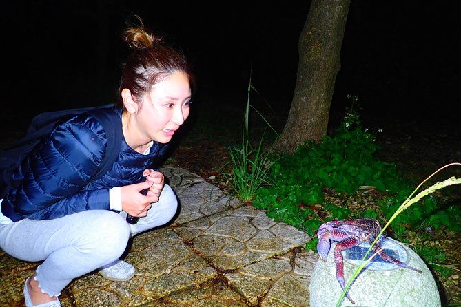 Okinawa Miyako Star Gazing & Subtropical Jungle Night Tour - The 90-Minute Schedule and Its Moving Parts