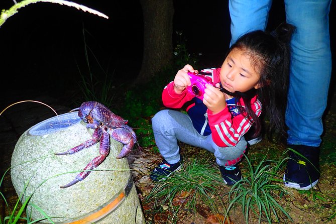 Okinawa Miyako Star Gazing & Subtropical Jungle Night Tour - How Much Value You Get for $32.37