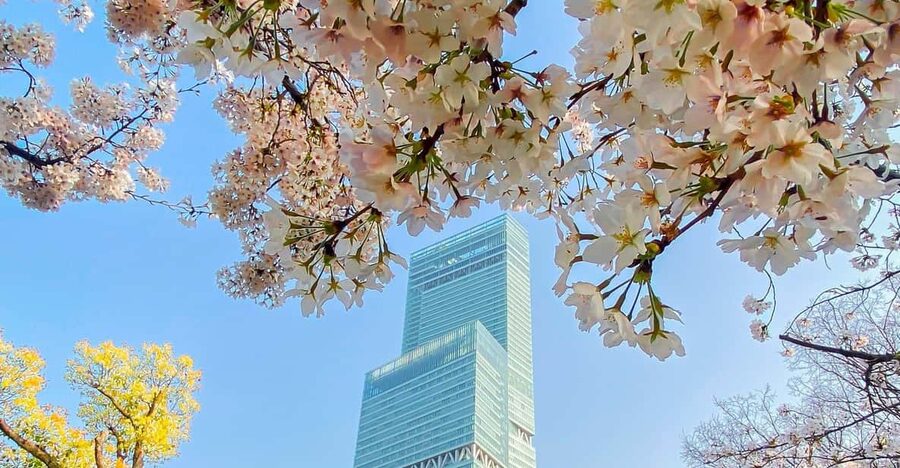 Osaka: Abeno Harukas 300 Observatory E-Ticket - Is $3.40 Good Value?