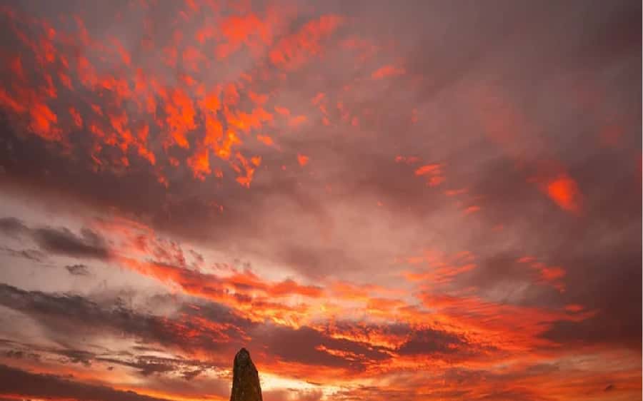 Perth: Pinnacles Desert Sunset & Stargazing with Dinner - Dinner in Cervantes, with a real pub feel