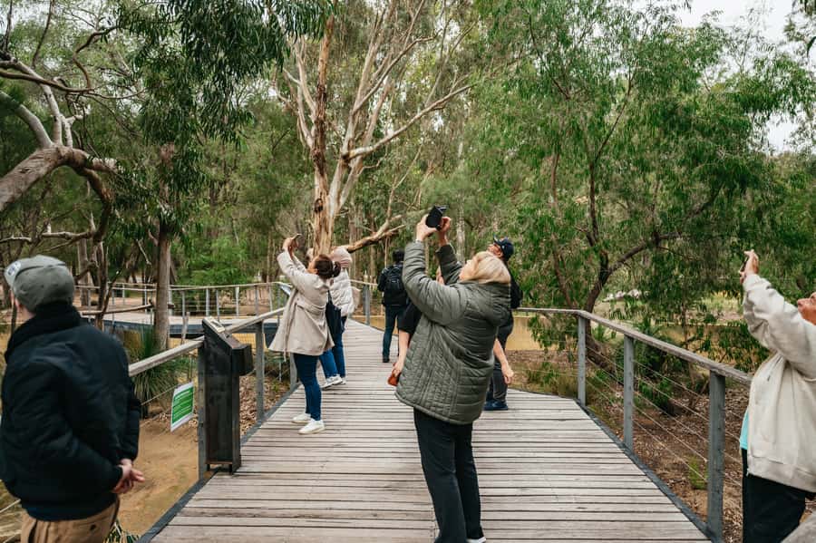 Perth: Pinnacles Desert Sunset & Stargazing with Dinner - How the guides shape the day