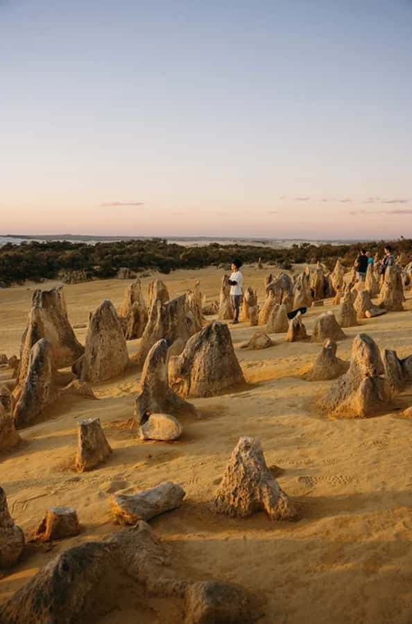 Perth: Pinnacles Desert Sunset & Stargazing with Dinner - Is the A$159 price fair?