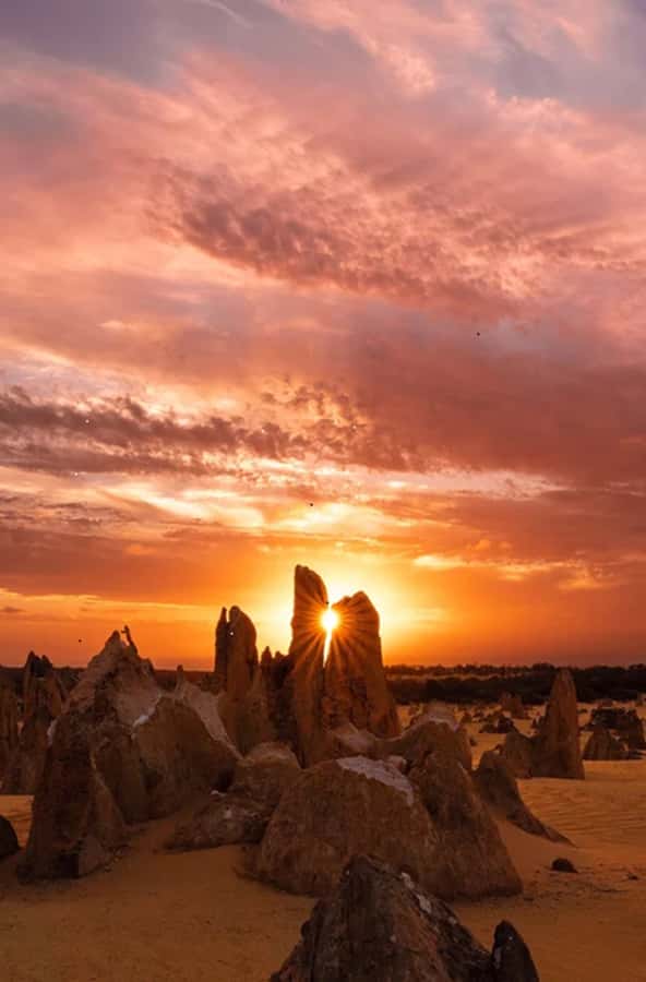 Perth: Pinnacles Desert Sunset & Stargazing with Dinner - Sunset among the limestone pinnacles